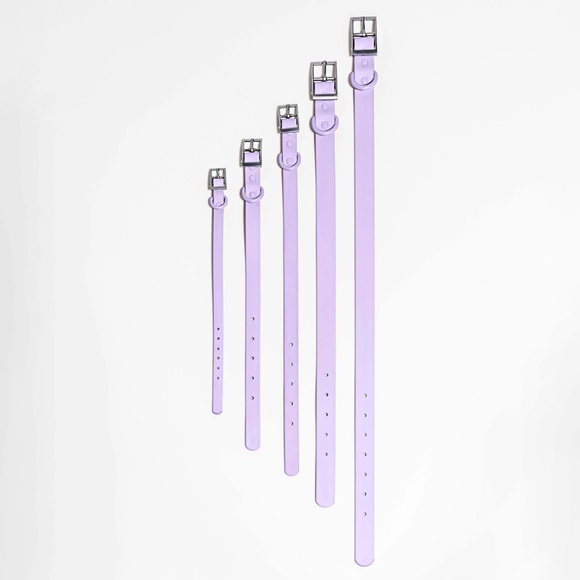 Wild One Collar - Moss - Small - Picture 7 of 8